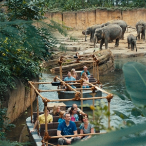 WILDLANDS Adventure Zoo. Van regionale dierentuin naar werelds avontuur.